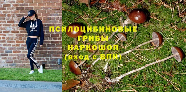 spice Долгопрудный