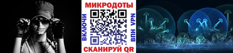 купить наркотик  Пудож  площадка клад  Галлюциногенные грибы GOLDEN TEACHER 